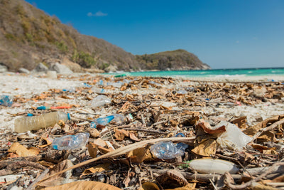 Plastik im Meer: Die neuesten Forschungsergebnisse (Stand Mitte 2025)